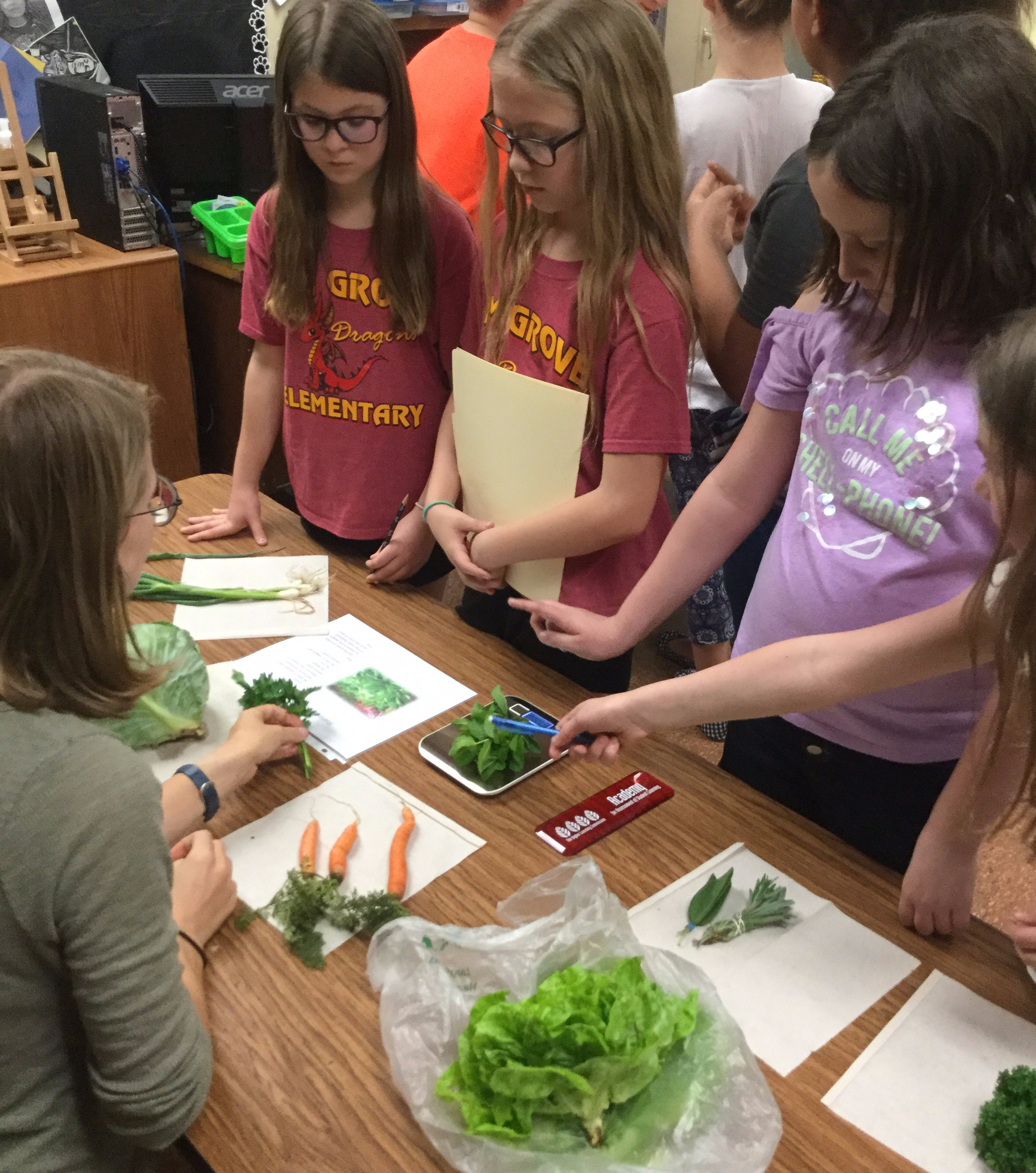 Students examine and measure the quality of a variety of fresh crops.