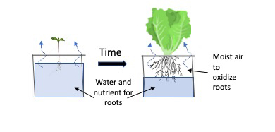 Line drawing of Kratky Method