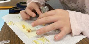 Student examines seed with field microscope.