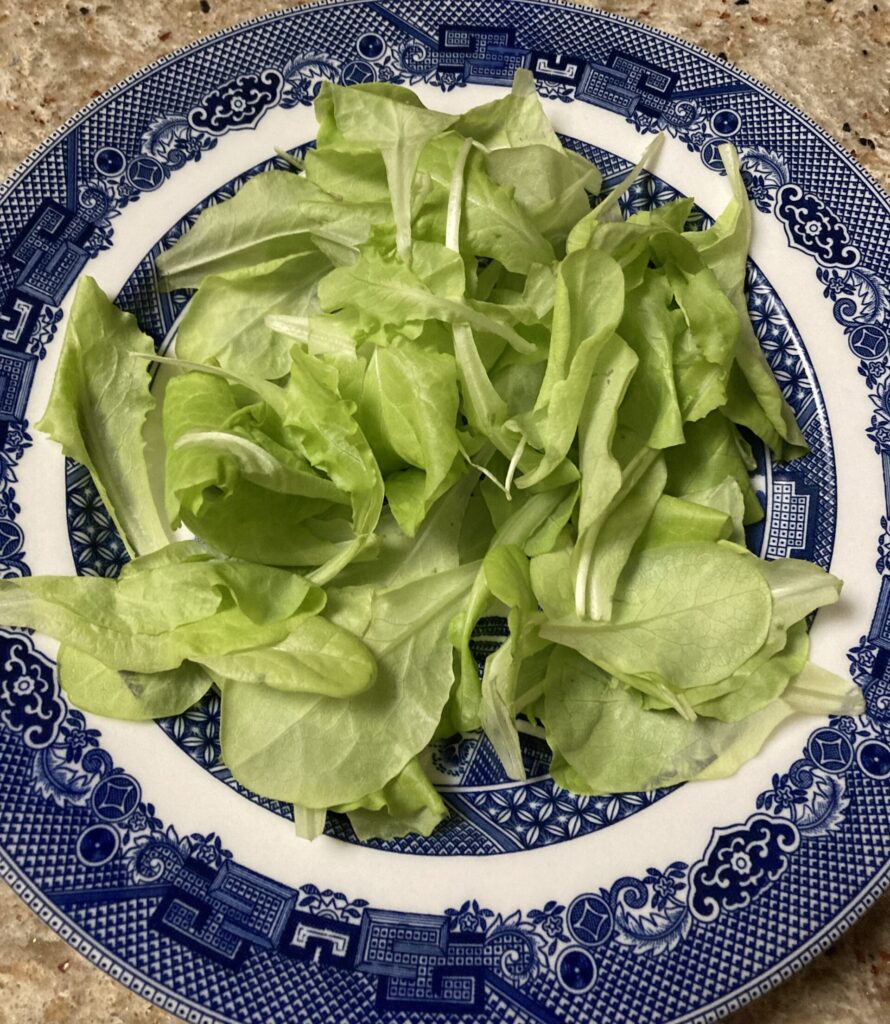 Photo of harvest hydroponic lettuce prepped for serving