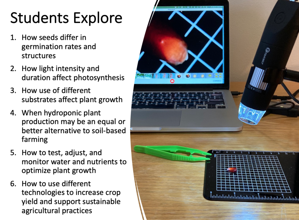 This slide provides a list of the type of activities students will explore in these hands-on hydroponic lessons